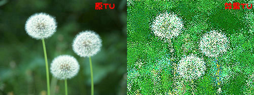 isee图片专家,isee图片专家给向日葵调出印象派油画效果