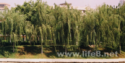 Fireworks效果之水波倒影 全福编程网