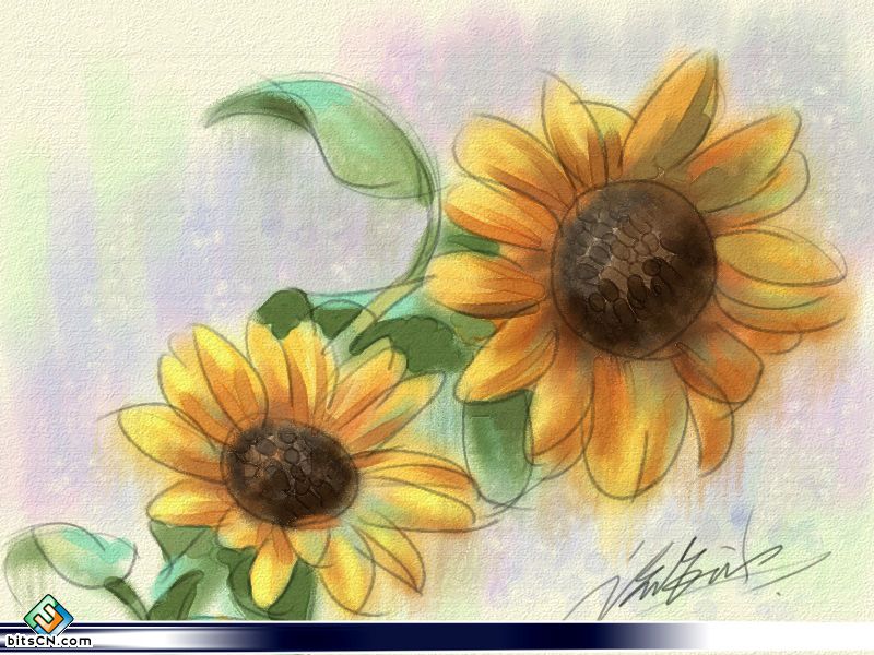 教你用painter绘制水彩油画双重效果的向日葵插画 全福编程网