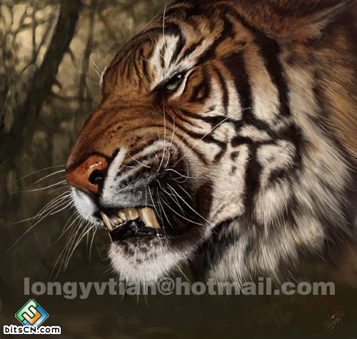 painter绘制一只逼真的凶猛老虎 全福编程网