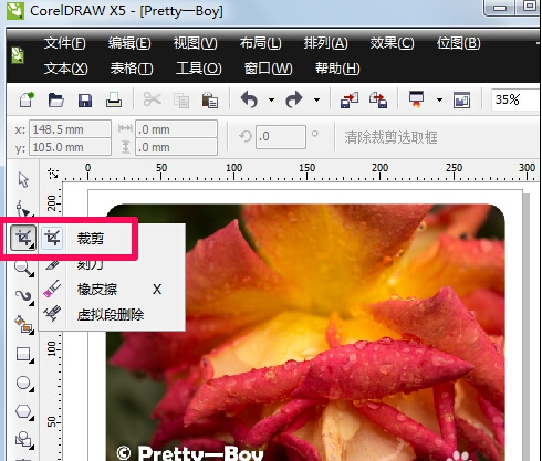 coreldraw怎么裁切图片? 全福编程网