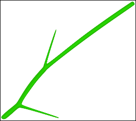 Illustrator教程:绘制漂亮的玫瑰花