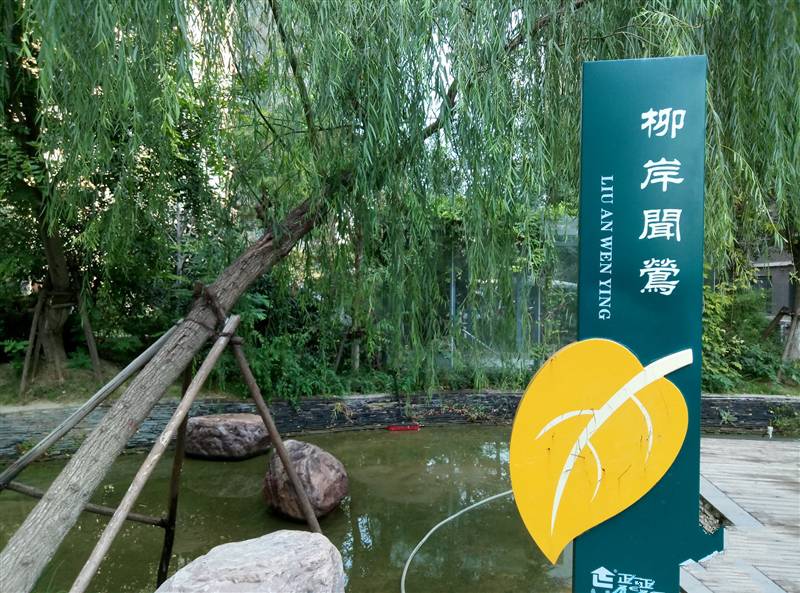 魅蓝Max和魅蓝E有什么不同?魅族魅蓝系统拍照性能曲面评测