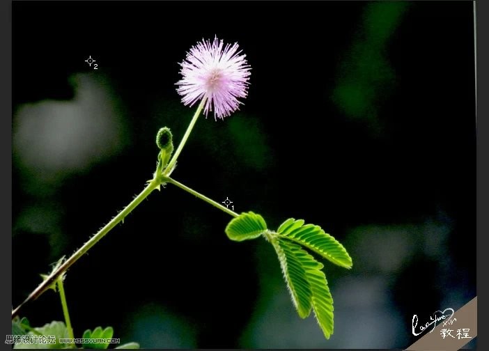 Photoshop通过黑场命令制作超酷的光影效果,PS教程,思缘教程网