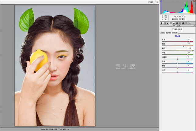 201421614534541 在Photoshop中打造水果妆面的人像图片后期修图教程