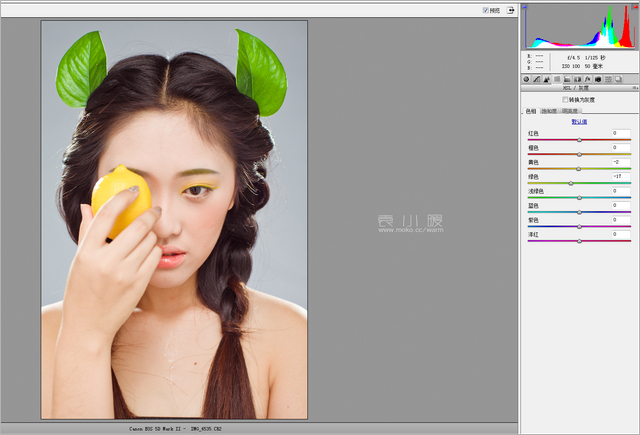 201421614534551 在Photoshop中打造水果妆面的人像图片后期修图教程