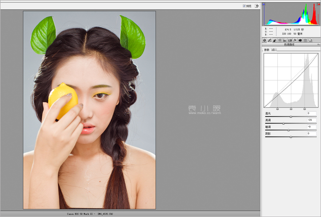 201421614534661 在Photoshop中打造水果妆面的人像图片后期修图教程