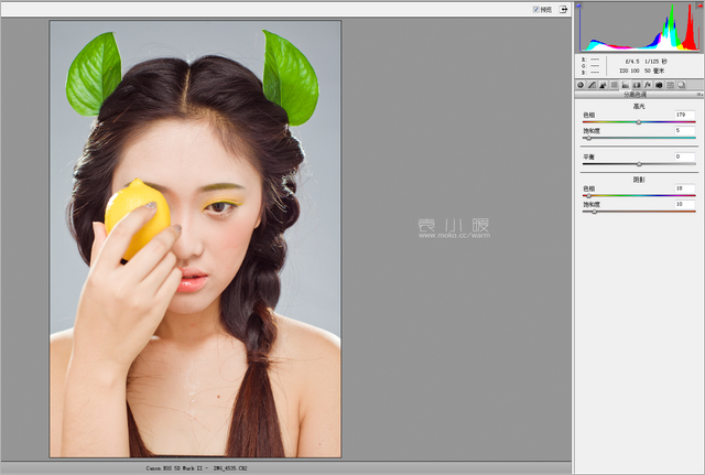 201421614534781 在Photoshop中打造水果妆面的人像图片后期修图教程