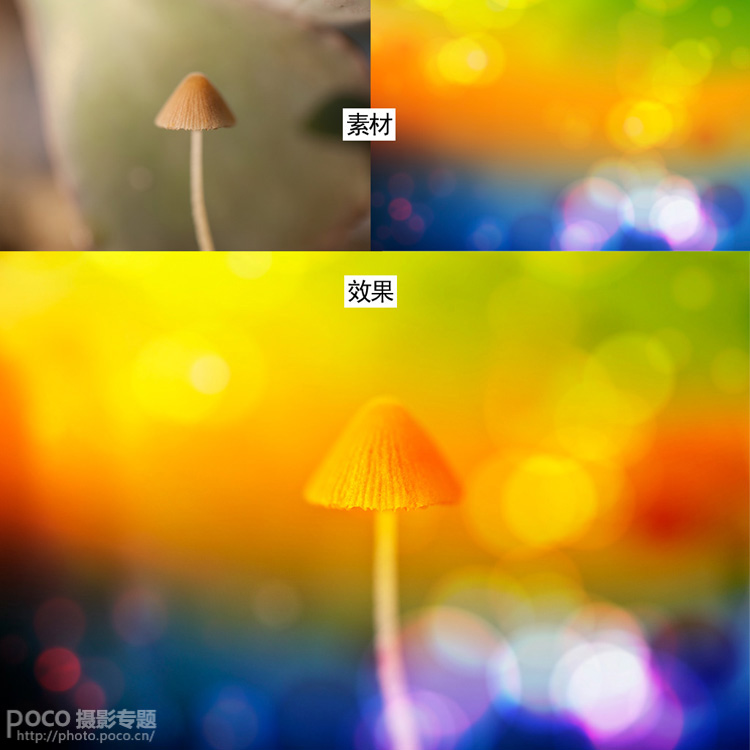 PS简单打造唯美梦幻的微距生态摄影图片效果教程 全福编程网教程