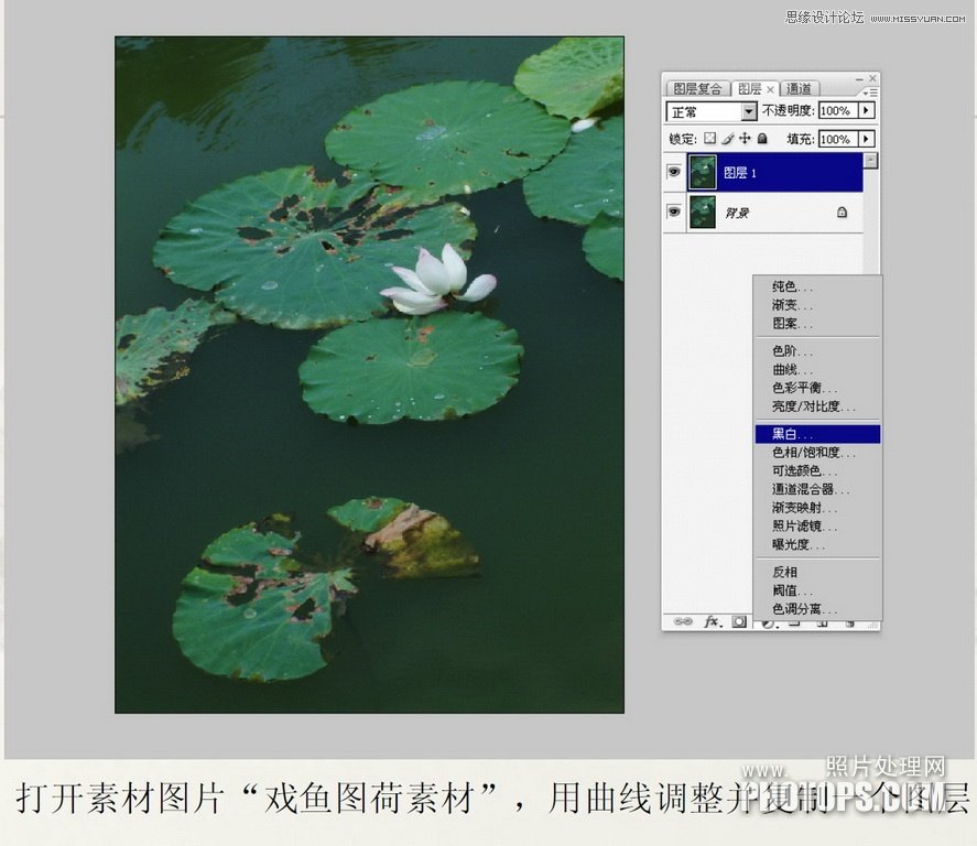 Photoshop使用废弃的荷花图制作戏鱼图封面,52photoshop教程