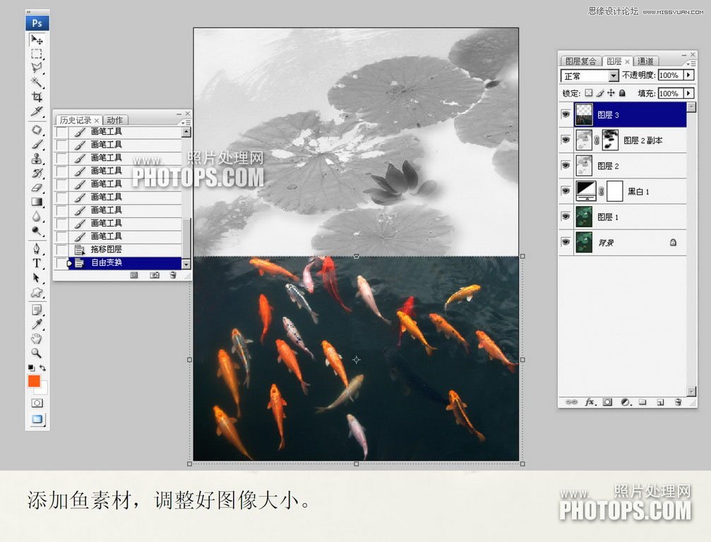 Photoshop使用废弃的荷花图制作戏鱼图封面,52photoshop教程
