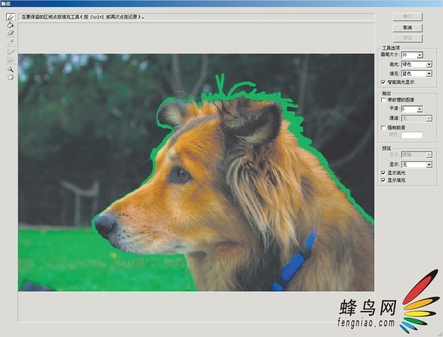 Photoshop选区深度探索-抽出对象