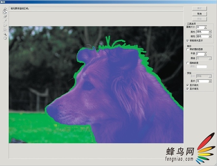 Photoshop选区深度探索-抽出对象