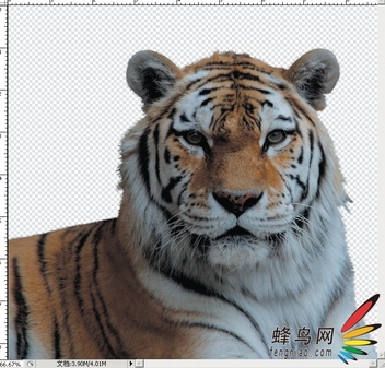 Photoshop选区深度探索-抽出对象