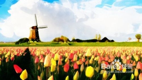 PS技巧：把普通照片打造油画风格   全福编程网