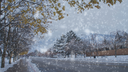 如何为照片Ps下雪效果 全福编程网