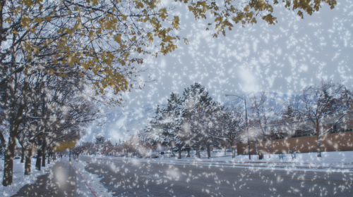 如何为照片Ps下雪效果