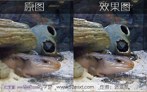 PhotoShop利用通道不增加噪点锐化图片方法教程 全福编程网教程