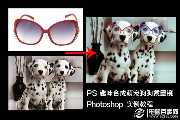 PS趣味合成萌宠狗狗戴墨镜实例教程 全福编程网