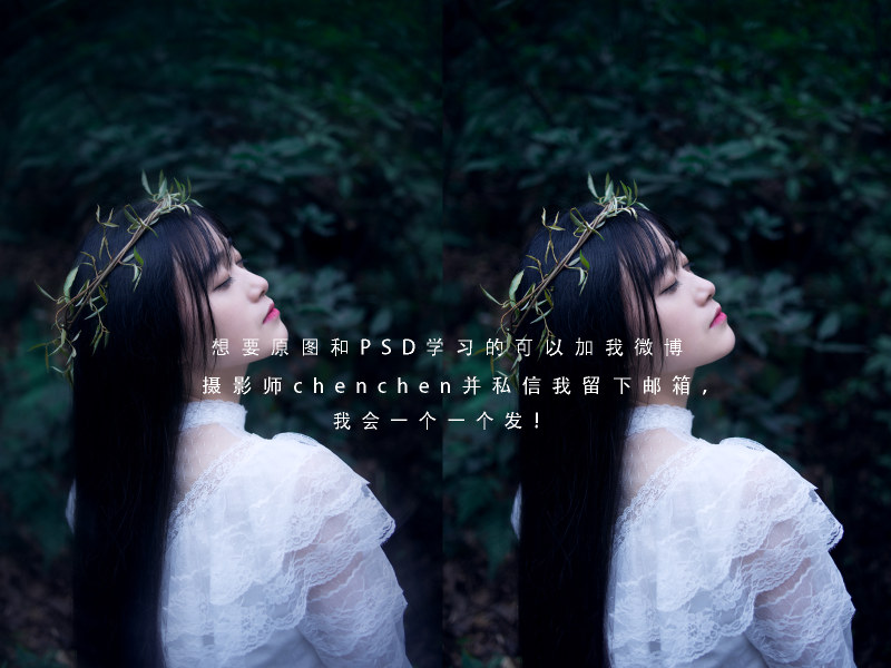 PS为森林美女做后期处理教程