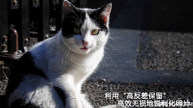 巧用Photoshop高反差保留无损锐化照片   全福编程网