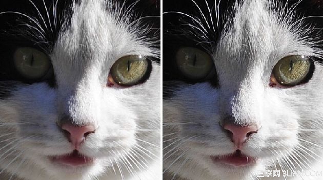 Photoshop巧用高反差保留无损锐化照片