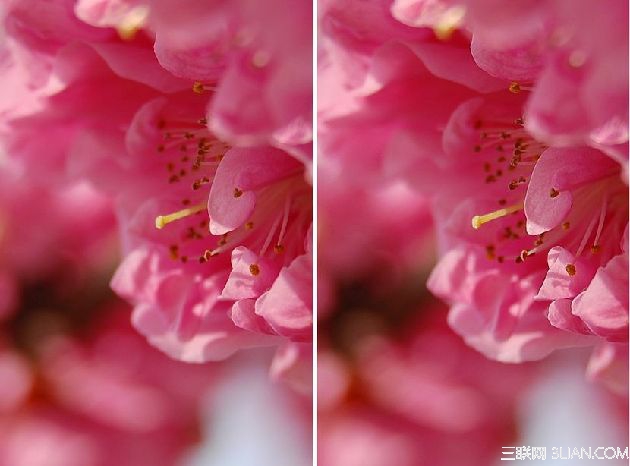 Photoshop巧用高反差保留无损锐化照片