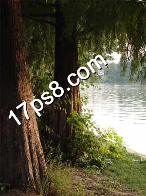 按此在新窗口浏览图片