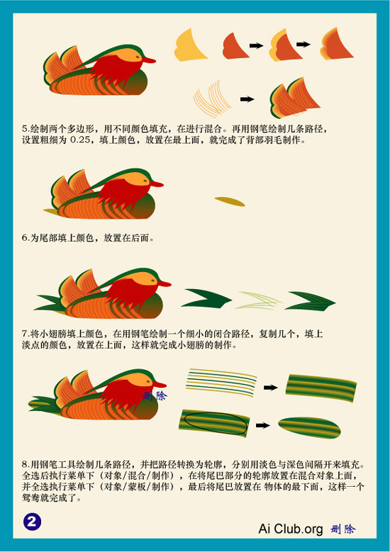 Illustrator教程：鸳鸯的制作过程