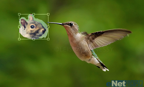 photoshop合成：合成一个玄幻动物