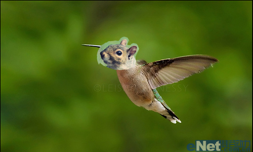 photoshop合成：合成一个玄幻动物