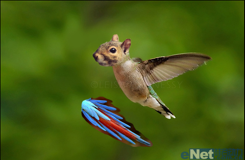 photoshop合成：合成一个玄幻动物