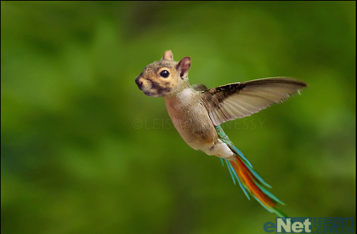 photoshop合成：合成一个玄幻动物