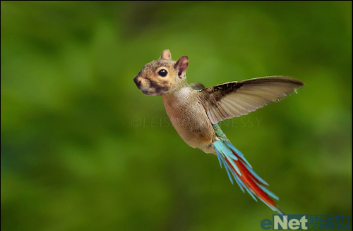 photoshop合成：合成一个玄幻动物
