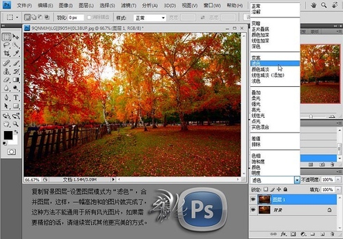 PS为秋日的风景照片调出高饱和色调