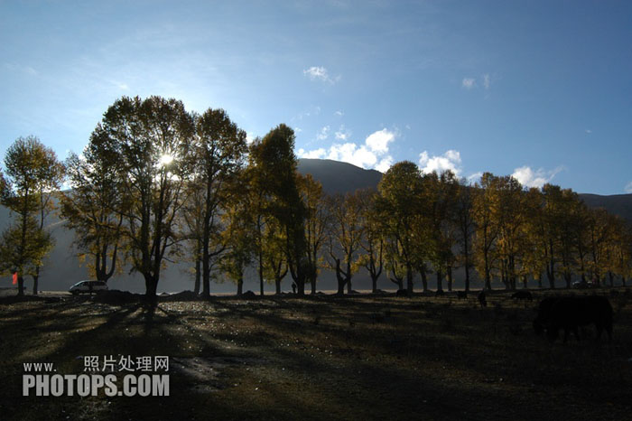 利用PS通道选区还原风景图片的阳光色彩 全福编程网
