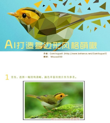 巧用Illustrator设计一只很萌的多边形小鸟 全福编程网