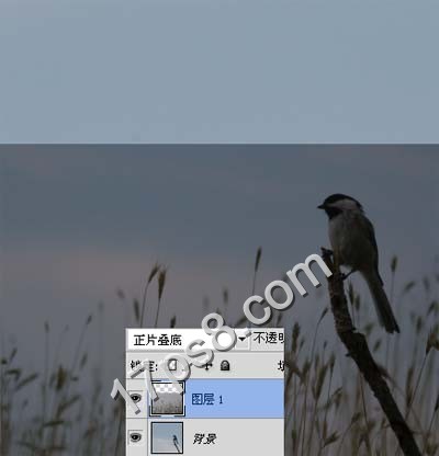 PS合成唯美草丛小鸟 全福编程网网 图片合成教程