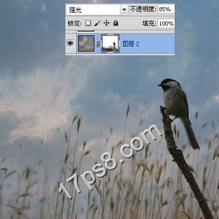 PS合成唯美草丛小鸟 全福编程网网 图片合成教程
