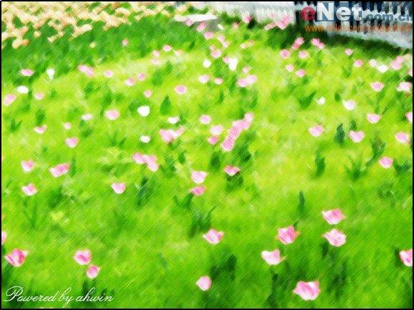用Photoshop快速将照片转为艺术绘画效果