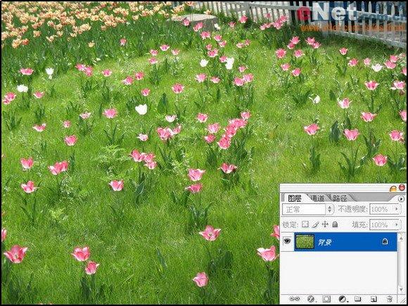 用Photoshop快速将照片转为艺术绘画效果