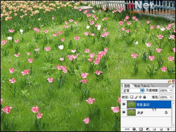 用Photoshop快速将照片转为艺术绘画效果
