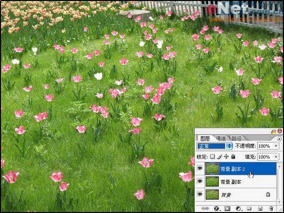 用Photoshop快速将照片转为艺术绘画效果(2)