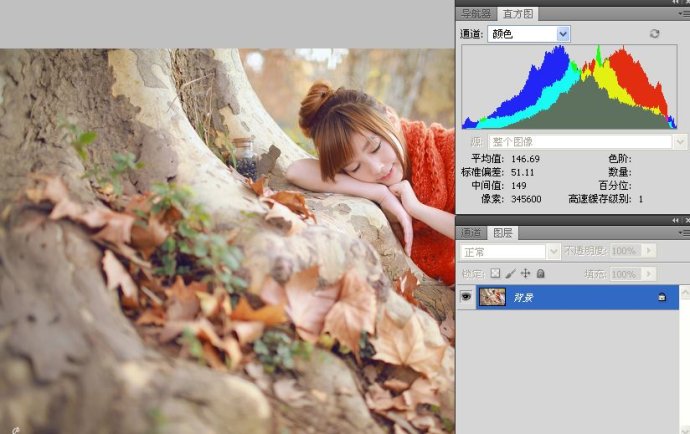 学看人像数码照片的直方图