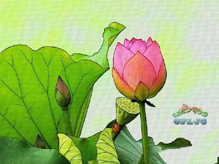 巧用photoshop转工笔画效果 全福编程网