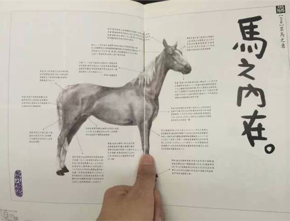如何写一篇“精彩”的文案？