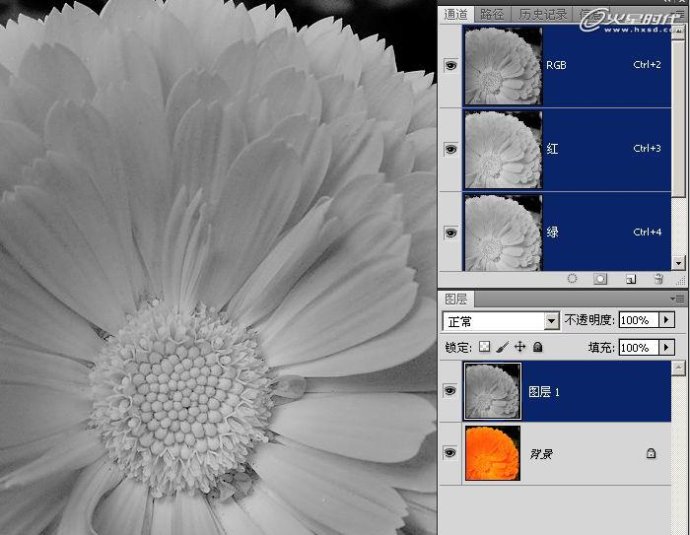 photoshop加强照片颜色层次和锐度-通道锐化法