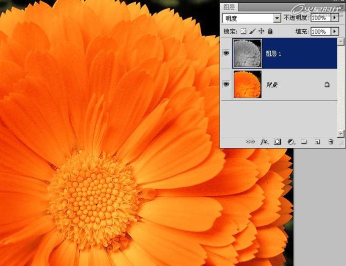 photoshop加强照片颜色层次和锐度-通道锐化法
