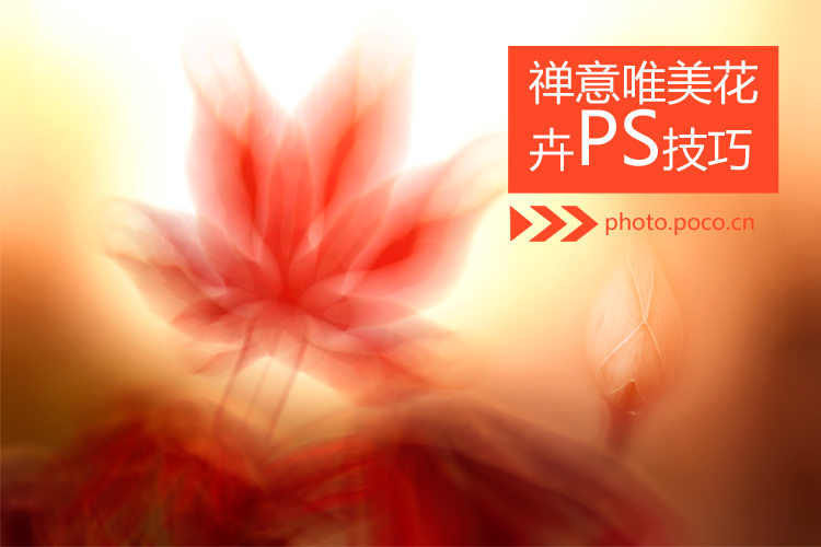 禅意唯美花卉PS技巧 全福编程网教程