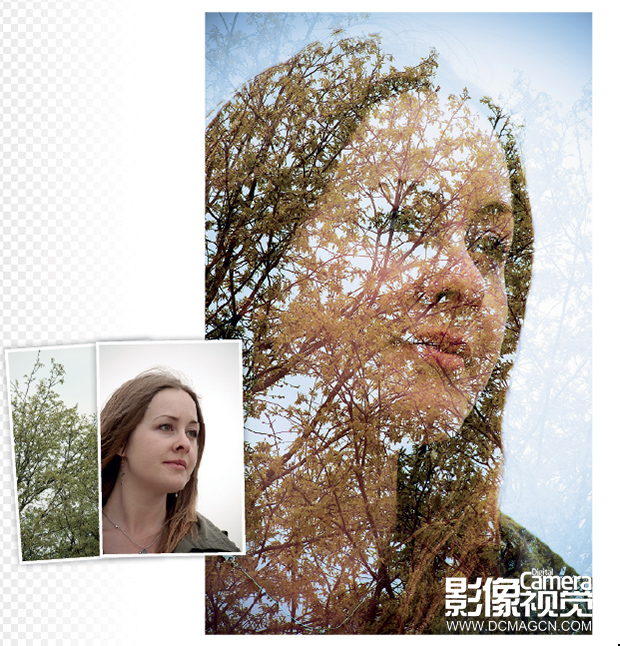 PhotoShop打造另类树枝美女头像效果教程 全福编程网教程
